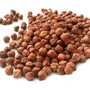 Country Brown Chana