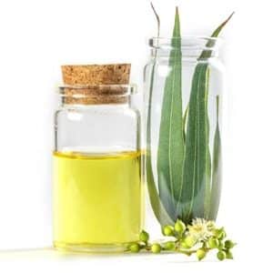 Eucalyptus Oil