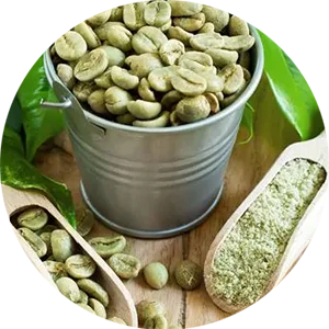 Organic Green Coffee