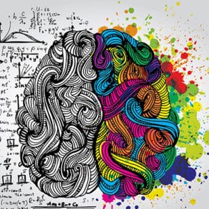 Organic Green Tea Benefits In Brain Function