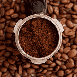 Organic Regular Coffee