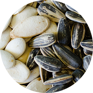 Sunflower Seeds