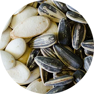 Sunflower Seeds