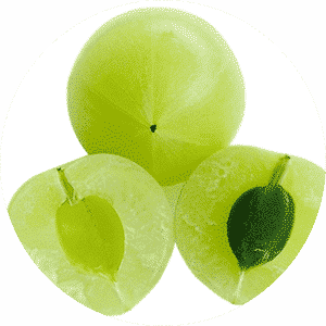 Herbal Bringha Amla Hair Oil