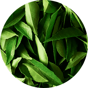 Curry Leaf Pickle