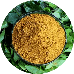 Curry Leaf Idly Powder