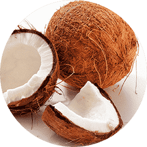Coconut Oil