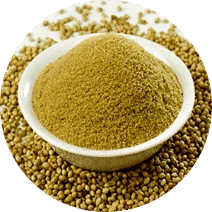 Coriander Powder