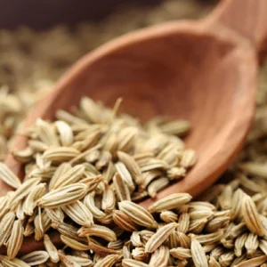 Fennel Seeds