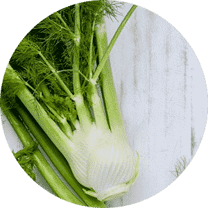 Fennel Seeds