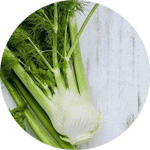 Fennel Seeds