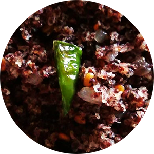 Finger Millet Flakes