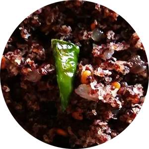 Finger Millet Flakes