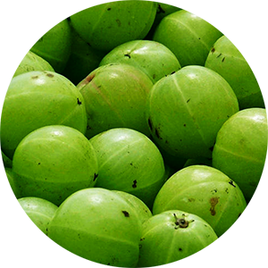 Gooseberry Pickle