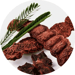 Herbal Shikakai Powder