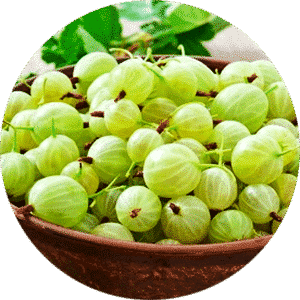 Dry Honey Gooseberry