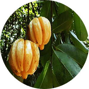 Natural Kudampuli