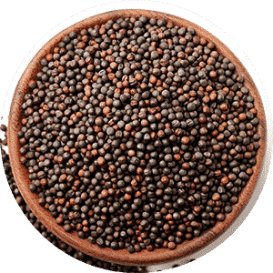 Mustard Seeds