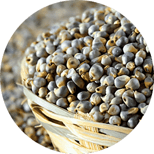 Pearl Millet Cookies