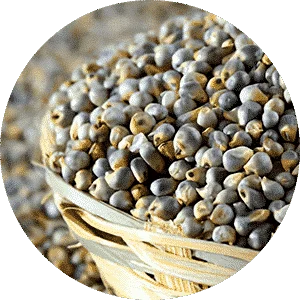 Pearl Millet Cookies