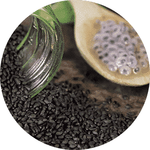 Sabja Seeds