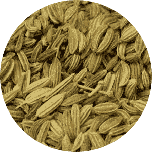 Jeera Flavoured Salted Millet Cookies