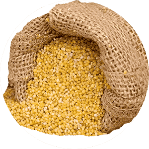 Foxtail Millet Flakes