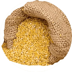Foxtail Millet Flakes