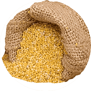 Foxtail Millet Noodles