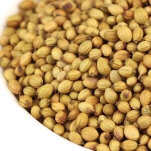 Coriander