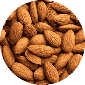 Wheat Almond Cookies