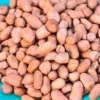 Peanuts