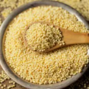 A wooden spoon rests in a bowl filled with small, Barnyard Millet, round yellow grains, surrounded by scattered grains on a rustic surface.