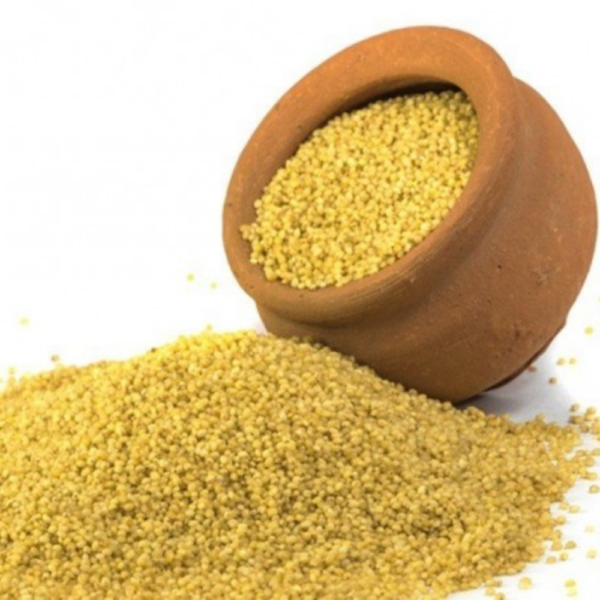 Buy Foxtail Millet / Thinai - Gluten-Free High-Fiber Grain from Microbasket