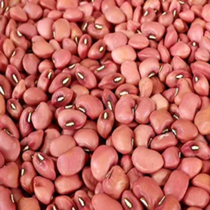 Buy Organic Red Cow Peas (Dried Chawli/ Thatta Payir/ Red Lobia) at Microbasket
